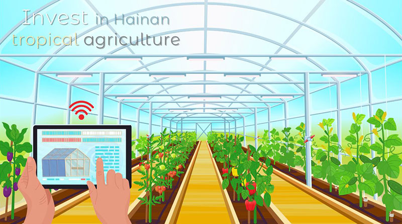 Invest-in-Hainan-tropical-agriculture
