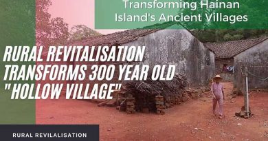 Rural revitalisation in Hainan; Developing non-farming sectors in Baoliang village Baoliang-village-Thumbnail-800-x-445