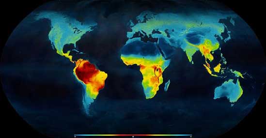 The latitudinal biodiversity gradient. By Mannion, P. D. 2014. Patterns in Palaeontology: https://commons.wikimedia.org