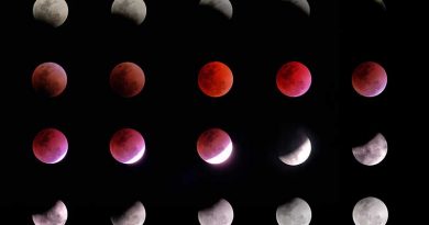 Tonight’s Partial Lunar Eclipse, not seen since the 1440’s phases-lunar-eclipse
