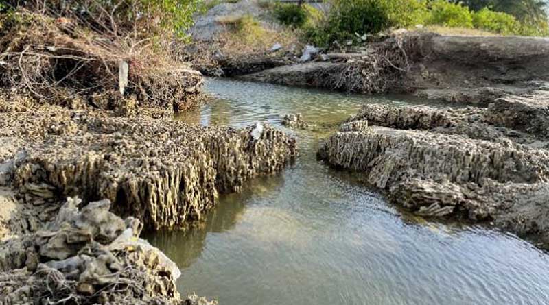 Anicent coral reef found on the shores of Hainan