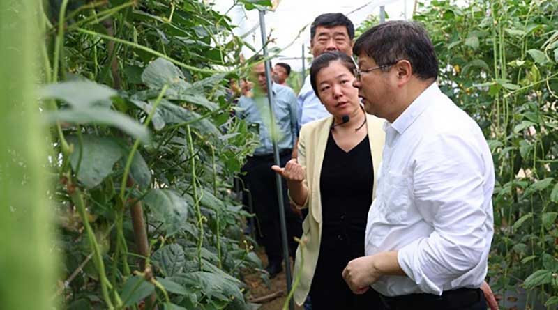 HNU develops green pest control technology