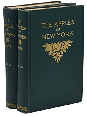 The apples of New York