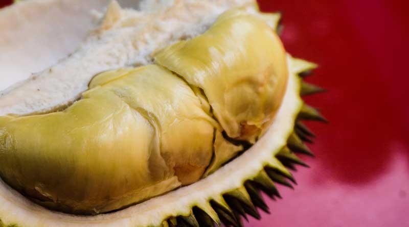 Durians are a rich source of the vitamin B complex, vitamin C, dietary fibre, potassium, and iron