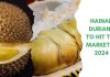 Hainan Durians To Hit Market in 2024