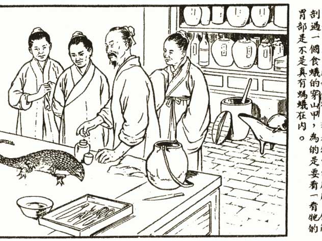 Li-prepares-to-dissect-a-pangolin,-from-a-popular-pamphlet,-Li-Shizhen-Great-Scholar-of-Medical-Drugs-(1955)