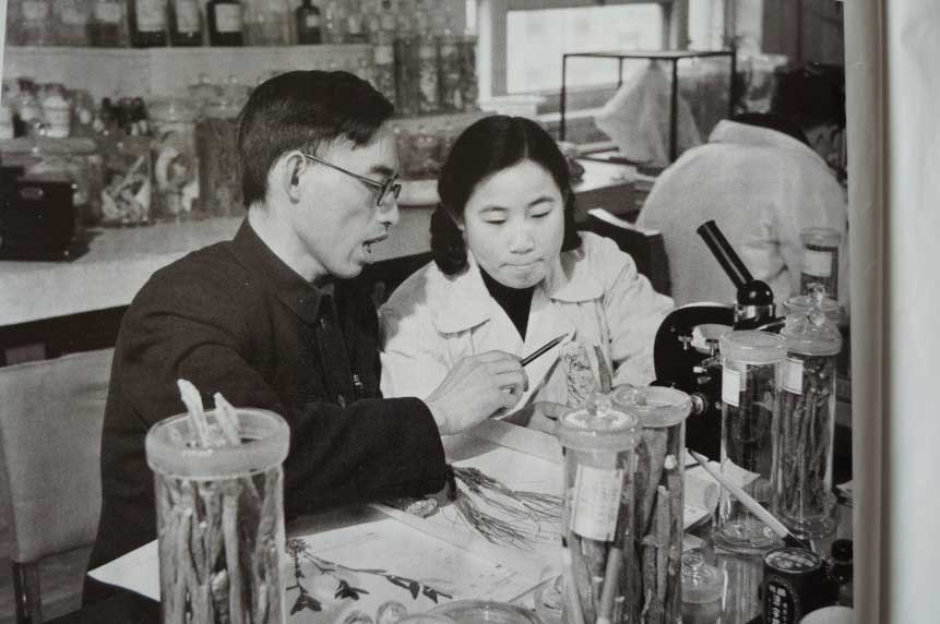 Tu Youyou with one of her mentors, pharmacologist Lou Zhicen, in the 1950s. Lou Zhicen trained her to identify medicinal plants based on their botanical descriptions