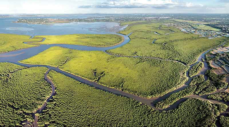 Dongzhaigang wetlands, Haikou