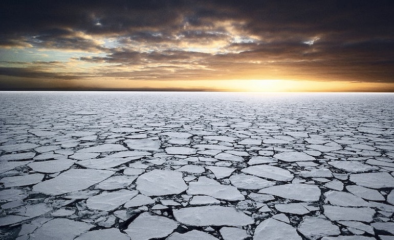 We Are Now in the Sixth Mass Extinction