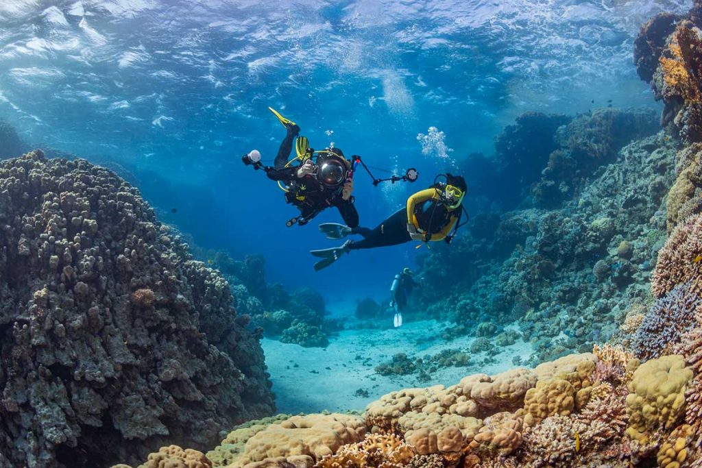 The islands of Samoa offer excellent diving and snorkelling opportunities with vibrant coral reefs