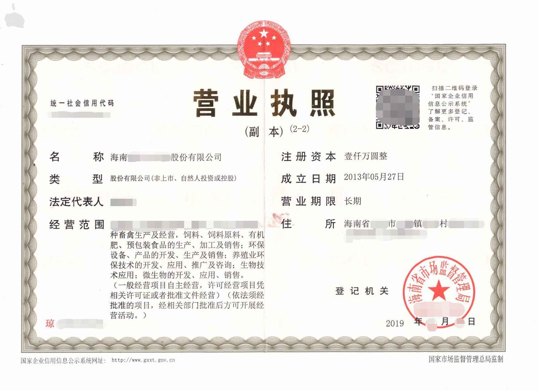 Chinese Business Licence