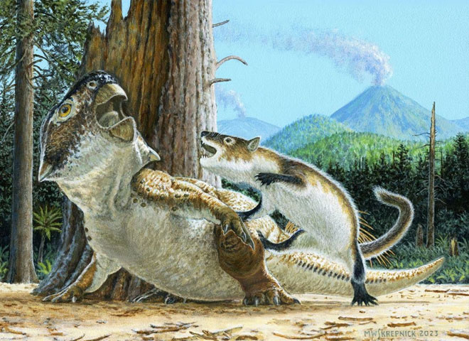 Fossil Reveals Ancient Mammal Preying on Dinosaur, by Team Led by Gang Han of Hainan Vocational University of Science and Technology