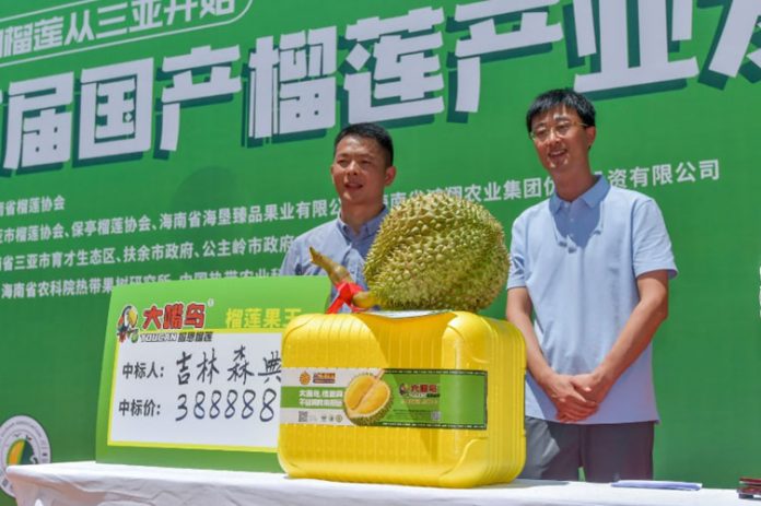 6.91kg Of Durians Sold For 388,888 yuan At Hainan Auction