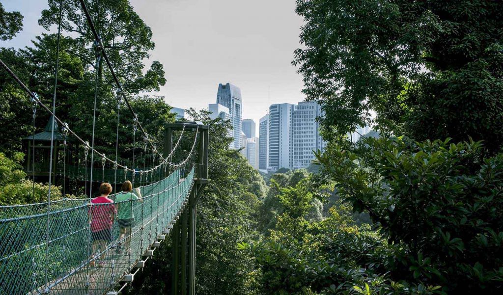 Bukit-Bintang-Forest-Eco-Park