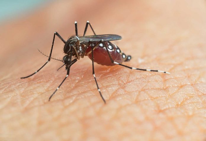 Rising Dengue Fever Cases in South and Southeast Asia: A Growing Health Concern in Tropical Regions