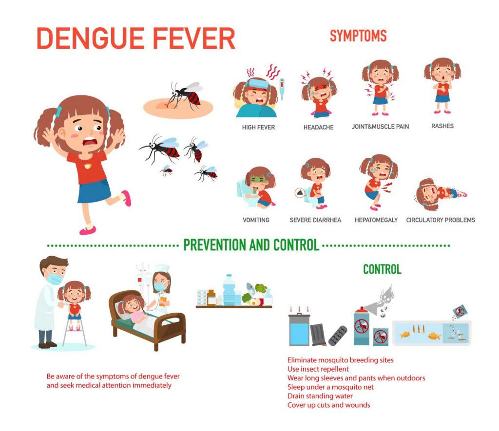 Dengue virus infection can lead to various outcomes