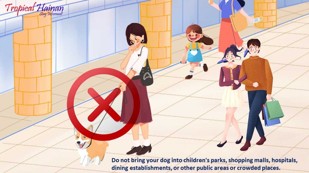 Dog management Laws in Haikou City (1)