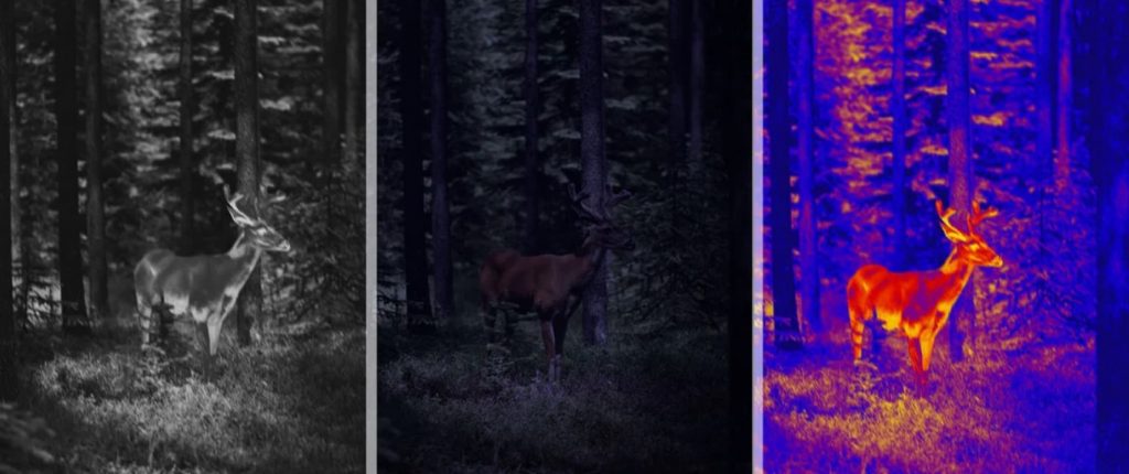Trail cameras see what our human eyes can’t. What’s more, these impressive devices can do all that even in total darkness