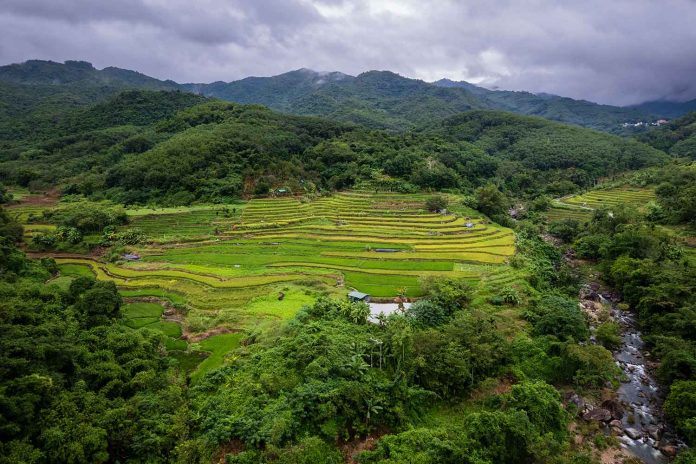 Maoyang Town, Wuzhishan City, the Yahu Terraced Fields (1)