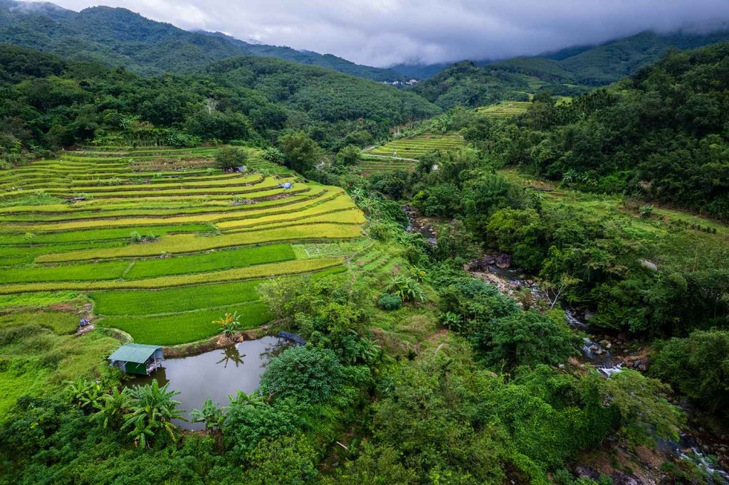 Maoyang Town, Wuzhishan City, the Yahu Terraced Fields (2)