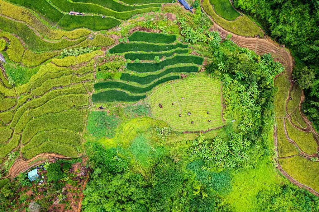 Maoyang Town, Wuzhishan City, the Yahu Terraced Fields (4)