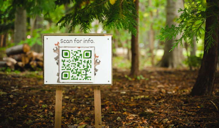 Interactive advertising campaigns have taken QR codes to new heights