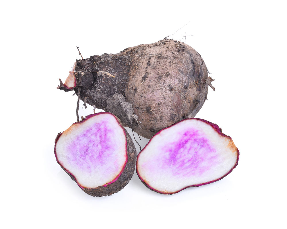 Dioscorea hispida: (intoxicating yam)