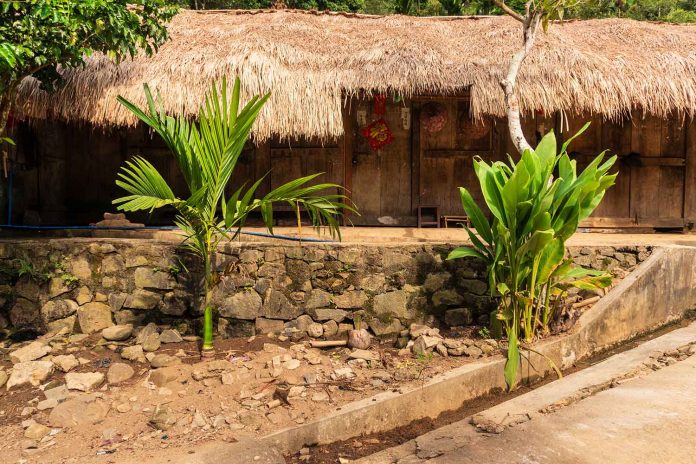 Chubaocun: A Cultural Village at the Heart of Hainan's Li Minority in Wuzhishan