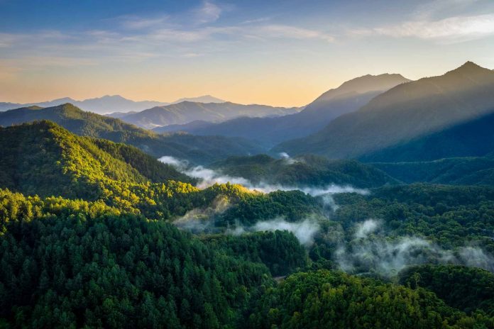 Why Wuzhishan National Park Should Be on Your Bucket List