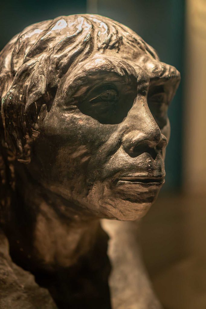 Reconstruction of what it is thought Peking Man would have looked like