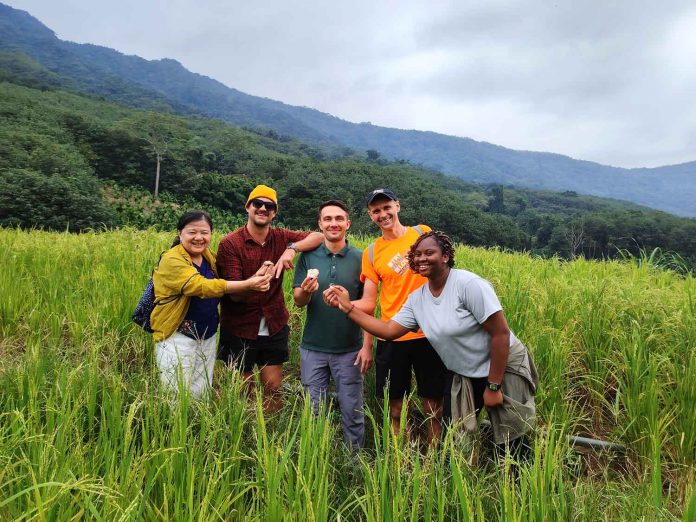 International Talent Program Energizes Qing Song Village with Cultural Exchange and Rural Experiences
