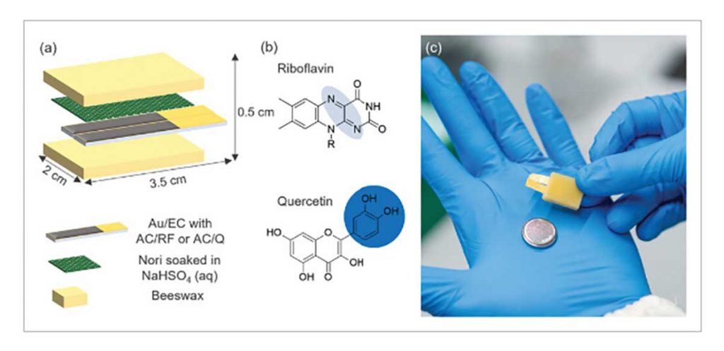 Edible rechargeable coplanar battery dimension compared with a CR2032 cell