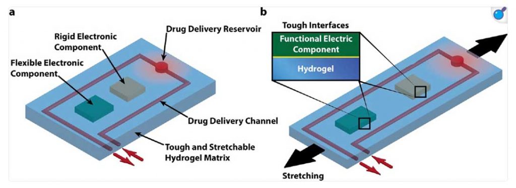 Schematic-illustration-of-the-design-of-stretchable-hydrogel-electronics-and-devices