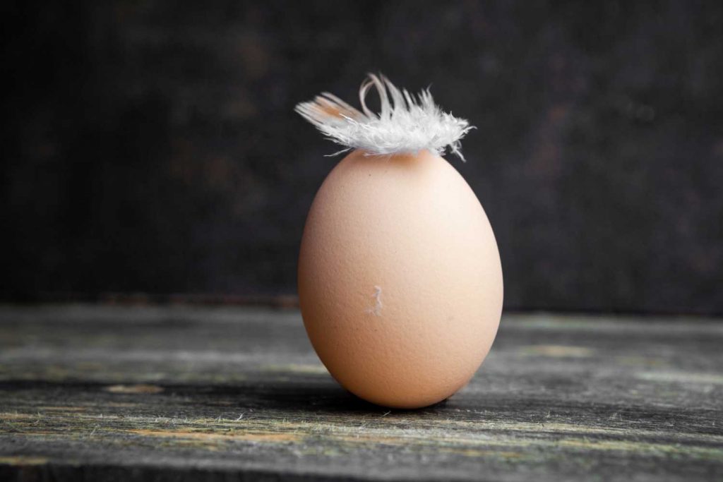 March 20: The Spring Equinox: A Celebration of Balance, Culture, and Renewal