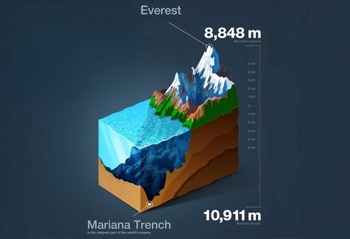 Scientists Release the First-Ever Map of the Deepest Ocean Ecosystem