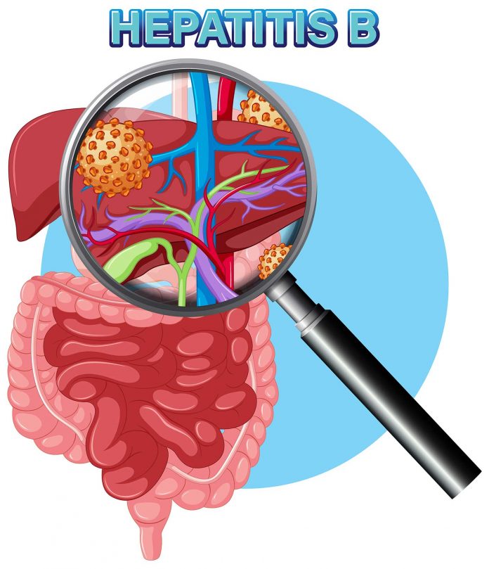 Hepatitis B Vaccination