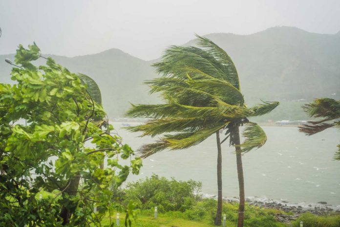 Hainan Predicts 6–8 Typhoons in 2025: Flood Season Rainfall and Heat Projections Released