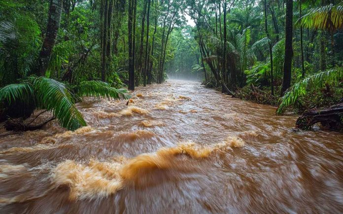 Hainan Province Officially Enters the 2025 Flood Season