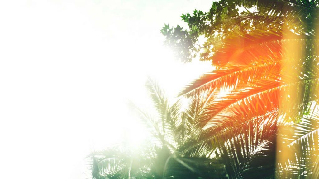 Hainan Predicts 6–8 Typhoons in 2025: Flood Season Rainfall and Heat Projections Released