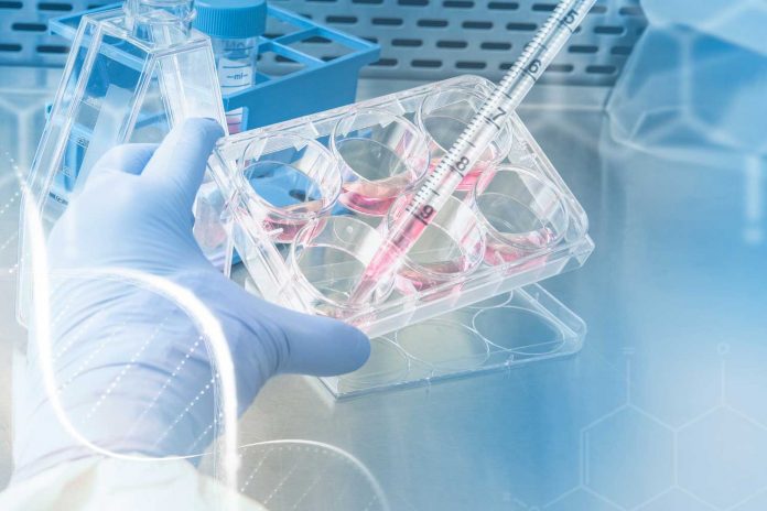 Hong Kong Investment Firm Launches Hainan’s First Foreign-Led Stem Cell Venture