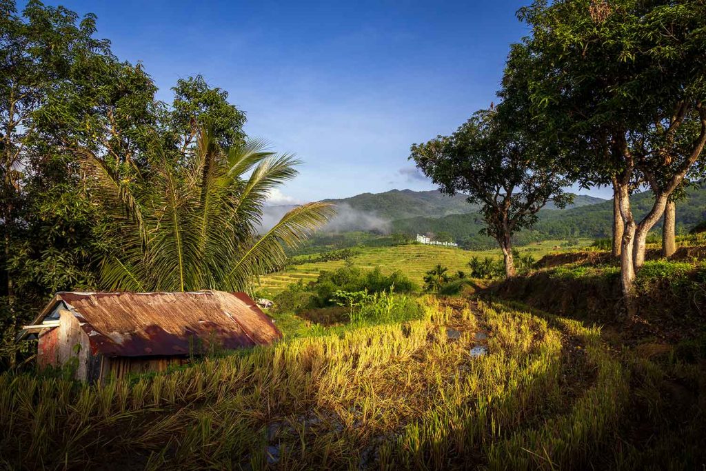 Magnificent Yahu Rice Terraces or Tourism and Marketing Hype?