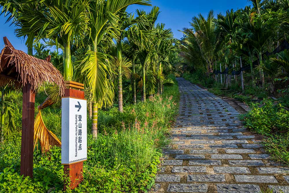 Magnificent Yahu Rice Terraces or Tourism and Marketing Hype?