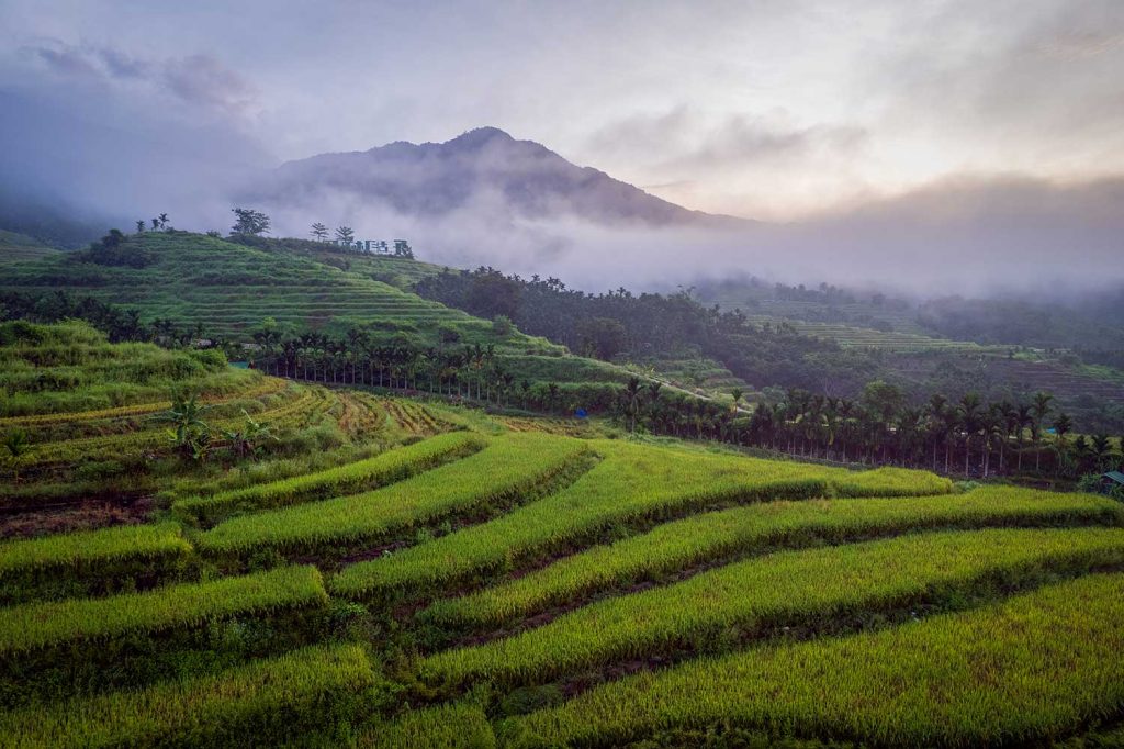 Magnificent Yahu Rice Terraces or Tourism and Marketing Hype?