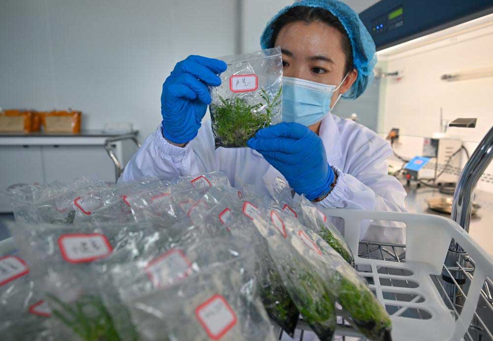 Haikou-Customs-Laboratory-3