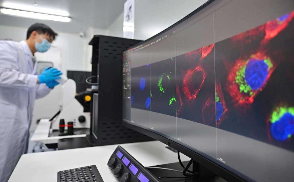 Staff-operated-a-laser-microscope