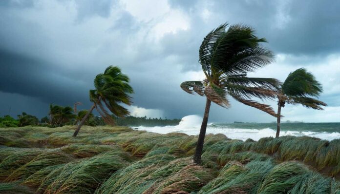 Typhoon Fengshen Strengthens Over South China Sea, Blue Alert Issued