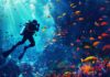 ADEX Asia Diving Expo will be held in Hainan next year