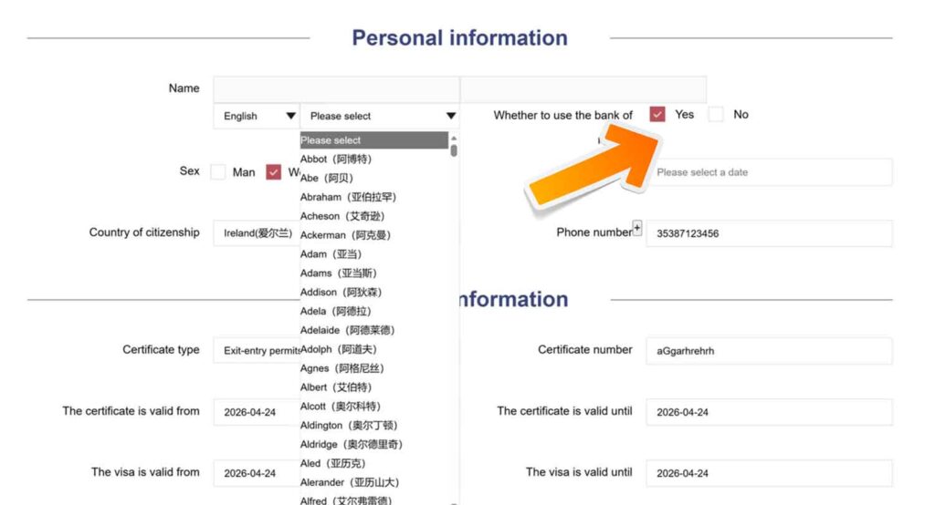 How to Apply Online for a Provisional Driving Permit in Hainan as a Foreign National