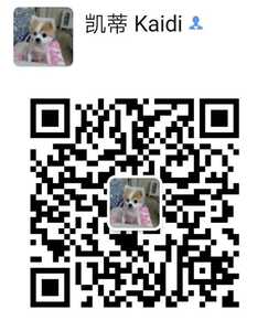 67 Kaidi Image Qr
