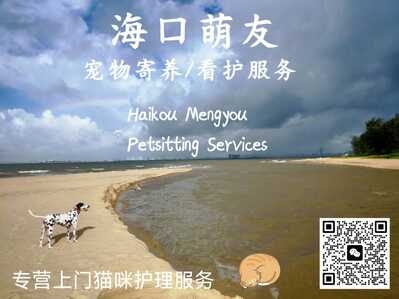 Haikou Mengyou In‑Home Pet Care Haikou Mengyou In‑Home Pet Care